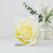 Creamy-roos Briefkaart (Staand voorkant)