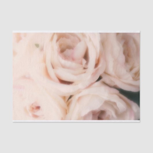 Creamy Soft Blush Roses Elegant Wedding Tissuepapier (Voorkant)