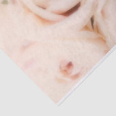 Creamy Soft Blush Roses Elegant Wedding Tissuepapier (Detail)