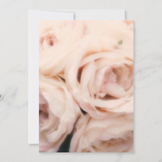 Creamy Soft Pink Peach Rozen Elegant Wedding Kaart (Achterkant)