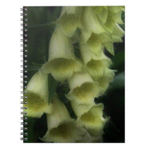 Creamy White Foxglove Flowers Notitieboek
