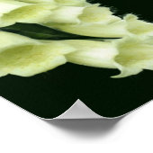 Creamy White Foxglove Flowers Poster (Hoek)