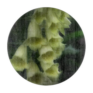 Creamy White Foxglove Flowers Snijplank