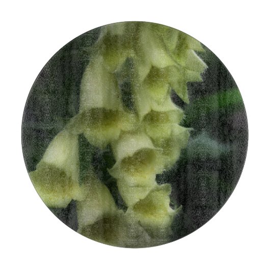 Creamy White Foxglove Flowers Snijplank (Voorkant)