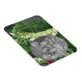 Creamy White Foxglove Flowers Voeg je foto toe Magneet (Rechterzijde)