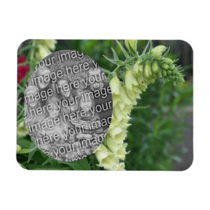 Creamy White Foxglove Flowers Voeg je foto toe Magneet