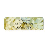 Creamy White Hydrangea Address Label (Voorkant)