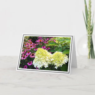 Creamy White Hydrangea en Pink Cone Flowers Kaart