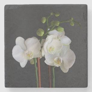 Creamy White Orchid Stenen Onderzetter