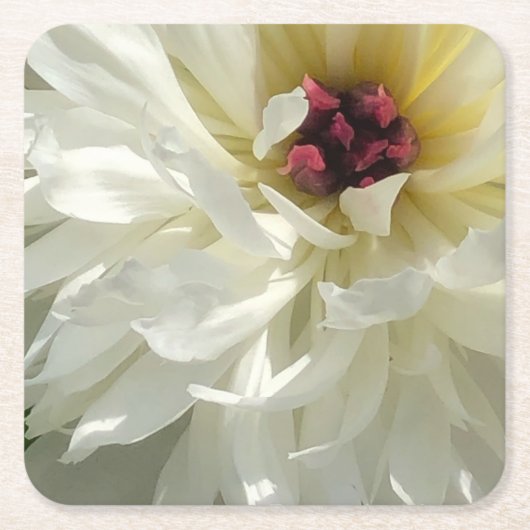 Creamy White Peony Flower met roze Stamens Kartonnen Onderzetters (Voorkant)