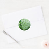 Creamy Witte Annabelle Hydrangea Flower Stickers (Envelop)