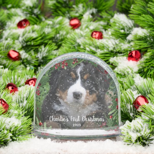 Create your Dog's First Christmas photo  Sneeuwbol (Kerstmis)