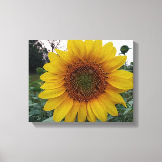 Create Your Own Canvas Wall Art with Custom Photo (Voorkant)
