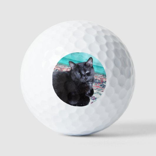 Create Your Own Custom Cat Owner Gift Pet Golfballen (Voorkant)