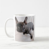 Create Your Own Pet Photo  Koffiemok (Links)