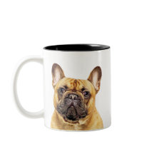 Create Your Own Pet Photo