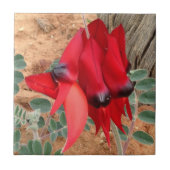 Create your own square tile - Sturt's Desert Pea Tegeltje (Voorkant)
