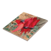 Create your own square tile - Sturt's Desert Pea