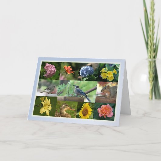 Creaters and Creation Collage Kaart (Voorkant)