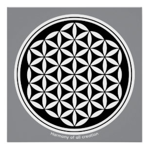 Creatie Harmonie – Symbool van Heilige Geometrie Perfect Poster