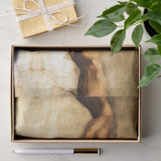 creatie van Adam God's hand Michelangelo Tissuepapier (Geschenk)