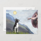 Creatie van de Boston Terrier (#3) Briefkaart (Voorkant / Achterkant)