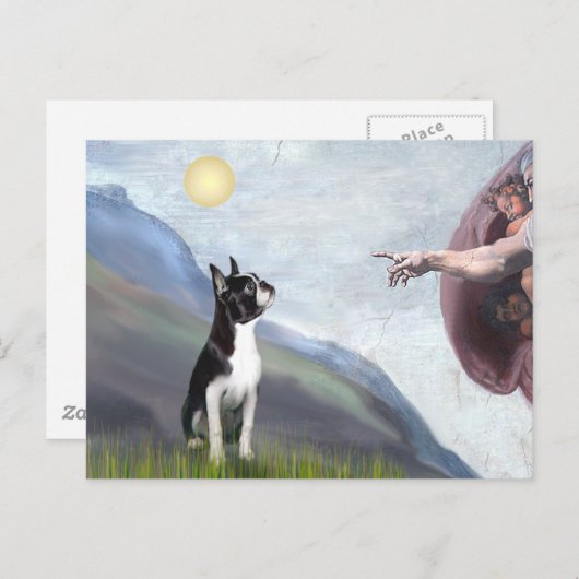 Creatie van de Boston Terrier (#3) Briefkaart (Voorkant / Achterkant)