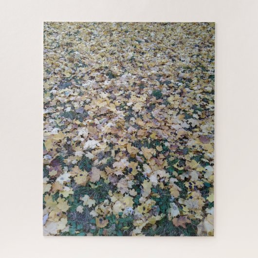 Creatief landschap verlaat herfst foto puzzel (Verticaal)