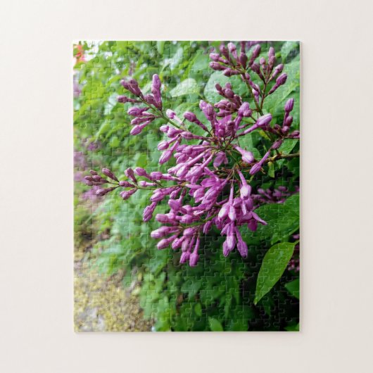 Creatief licht paarse lila foto puzzel (Verticaal)