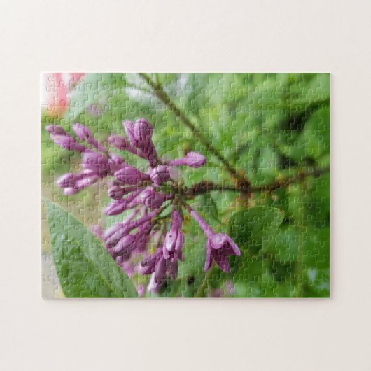 Creatief licht paarse lila foto puzzel (Horizontaal)