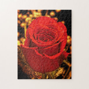 Creatief patroonpuzzel legpuzzel