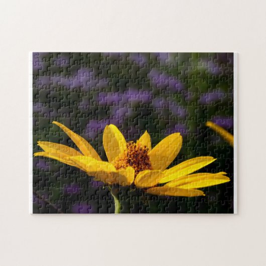 Creatief patroonpuzzel legpuzzel (Horizontaal)