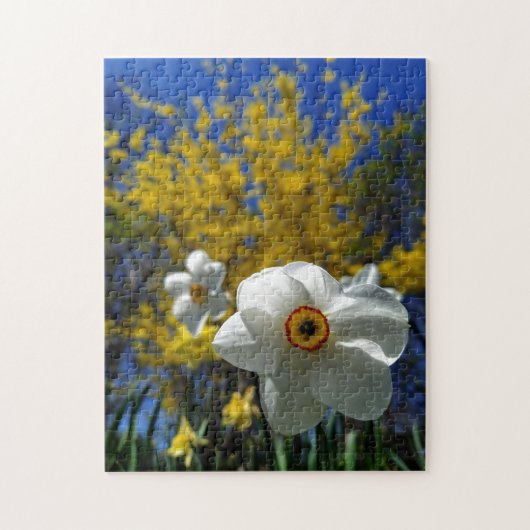 Creatief patroonpuzzel legpuzzel (Verticaal)