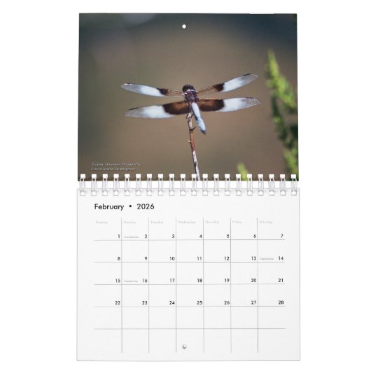 creaties in Natuur agenda Kalender (Feb 2026)