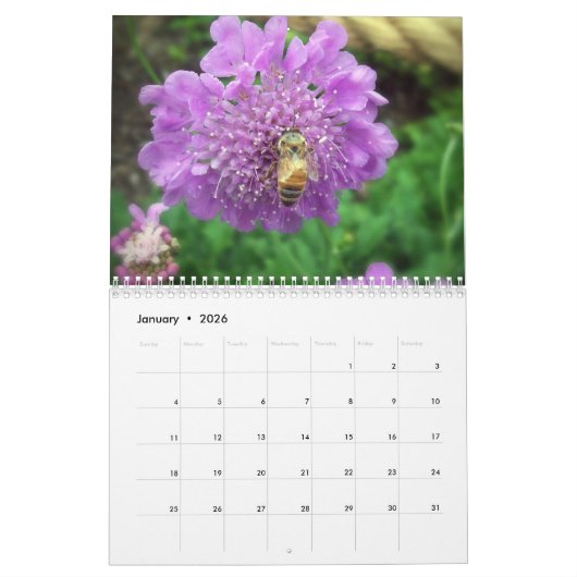 creaties kalender (Jan 2026)