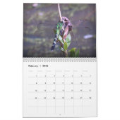 creaties kalender (Feb 2026)