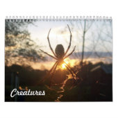creaties kalender (Hoes)