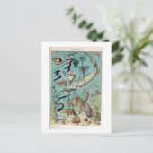  creaties van het leven in het Zee van de oceaan Briefkaart (Staand voorkant)