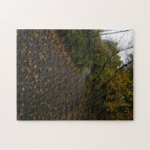 Creatieve herfst trail bos foto legpuzzel (Horizontaal)
