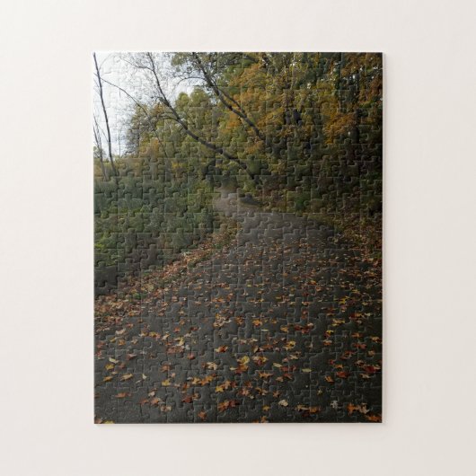 Creatieve herfst trail bos foto legpuzzel (Verticaal)