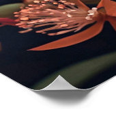  Creatieve Kleurrijke Vlinderillustratie Poster (Hoek)