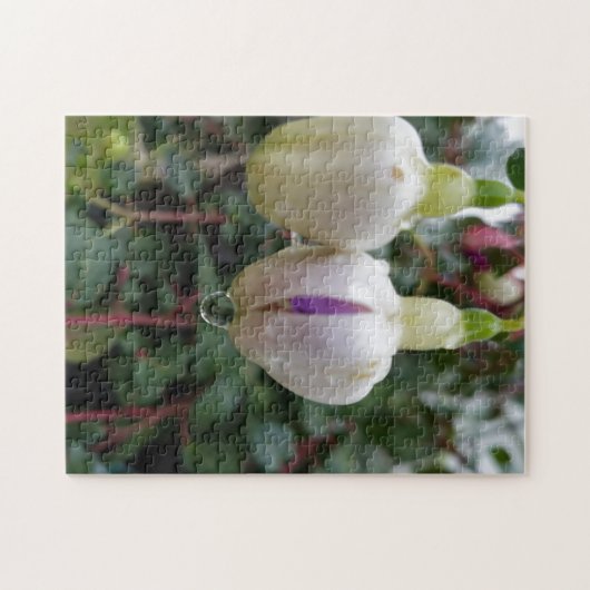 Creatieve knop fuchsia bloem foto legpuzzel (Horizontaal)