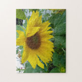 Creatieve natte zonnebloem fotopuzzel legpuzzel (Verticaal)
