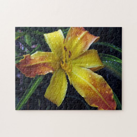 Creatieve patroon legpuzzel (Horizontaal)