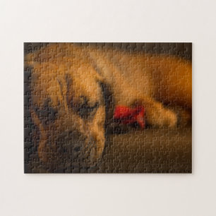 Creatieve patroon legpuzzel