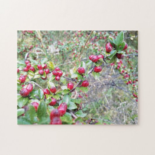 Creatieve rode bessen bossen foto puzzel puzzel (Horizontaal)