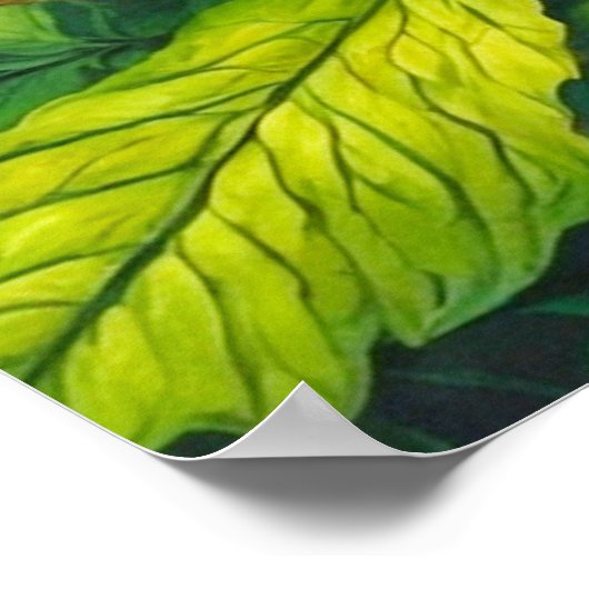  Creatieve Vlinderkunst Illustratie Poster (Hoek)