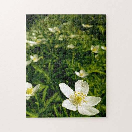 Creatieve wandeling met wilde bloemen foto legpuzz legpuzzel (Verticaal)