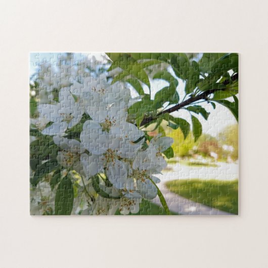 Creatieve witte bloesem boom foto legpuzzel (Horizontaal)