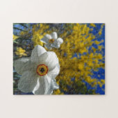 Creatieve witte narcis foto legpuzzel (Horizontaal)